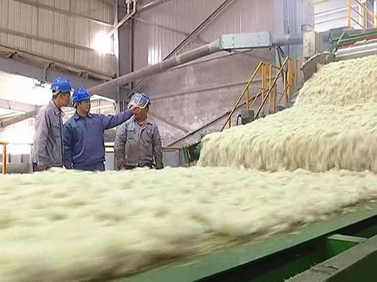 سعر جيد Mineral Wool Board Production Line with 1200-2400mm Board Width 80-200kg/m3 Density and 380V/50Hz Power Supply الانترنت